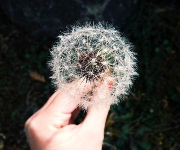 Admissions documents