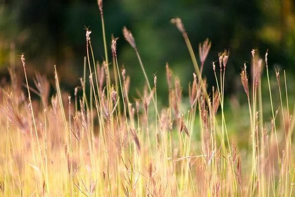 Computer & ICT Laboratories